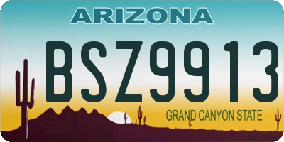 AZ license plate BSZ9913