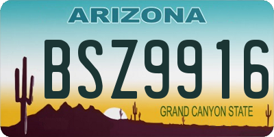 AZ license plate BSZ9916