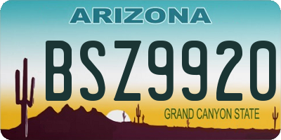 AZ license plate BSZ9920