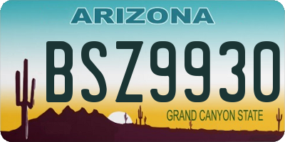 AZ license plate BSZ9930