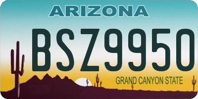 AZ license plate BSZ9950