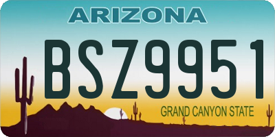 AZ license plate BSZ9951