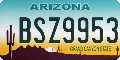 AZ license plate BSZ9953