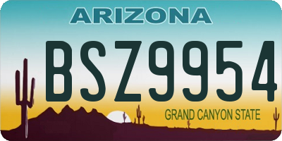 AZ license plate BSZ9954