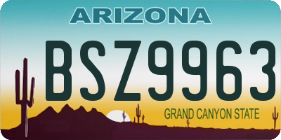 AZ license plate BSZ9963