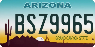 AZ license plate BSZ9965