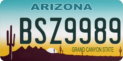 AZ license plate BSZ9989