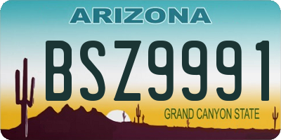 AZ license plate BSZ9991