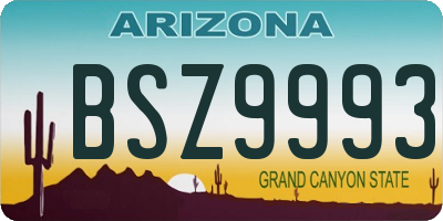 AZ license plate BSZ9993