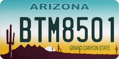 AZ license plate BTM8501