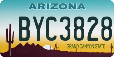 AZ license plate BYC3828