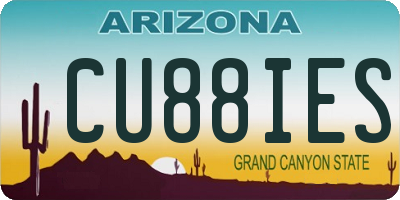 AZ license plate CU88IES