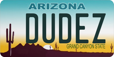 AZ license plate DUDEZ