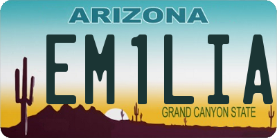 AZ license plate EM1LIA