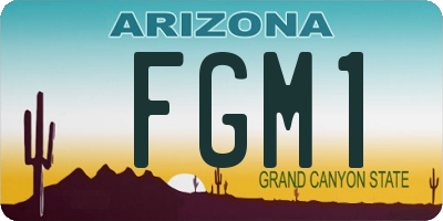 AZ license plate FGM1