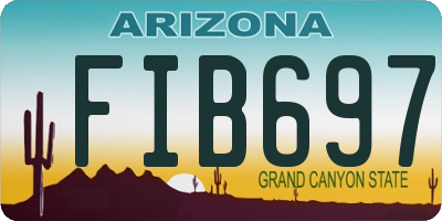 AZ license plate FIB697