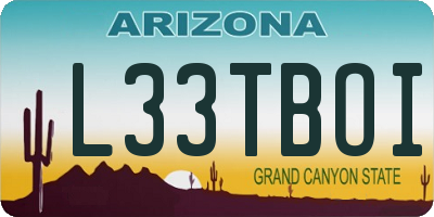 AZ license plate L33TBOI