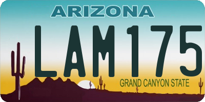 AZ license plate LAM175