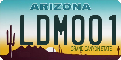 AZ license plate LDM001