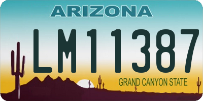 AZ license plate LM11387