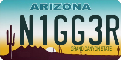 AZ license plate N1GG3R