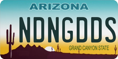 AZ license plate NDNGDDS