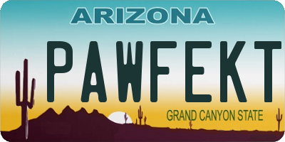 AZ license plate PAWFEKT