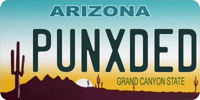 AZ license plate PUNXDED