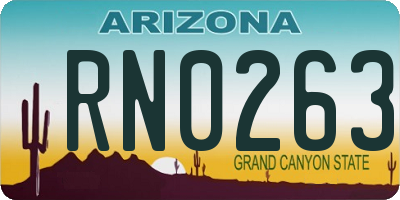 AZ license plate RN0263