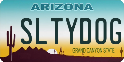 AZ license plate SLTYDOG