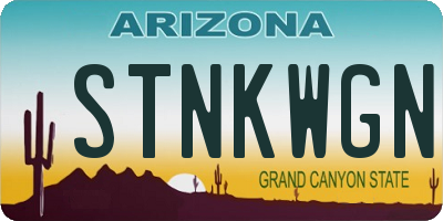 AZ license plate STNKWGN