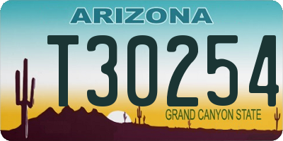 AZ license plate T30254