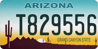 AZ license plate T829556