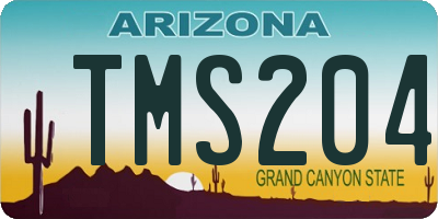 AZ license plate TMS204