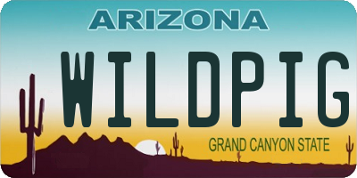 AZ license plate WILDPIG