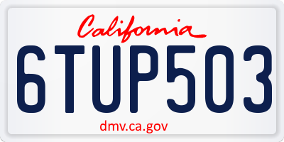CA license plate 6TUP503