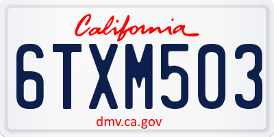 CA license plate 6TXM503