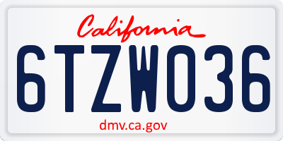 CA license plate 6TZW036