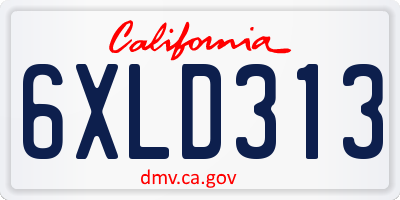 CA license plate 6XLD313