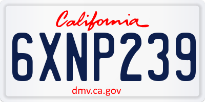 CA license plate 6XNP239