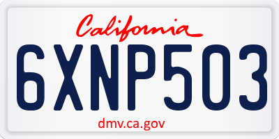 CA license plate 6XNP503