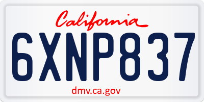 CA license plate 6XNP837