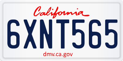 CA license plate 6XNT565