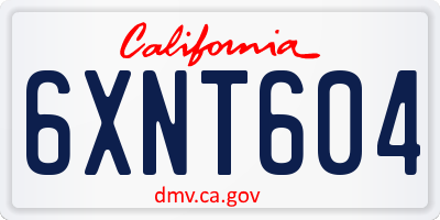 CA license plate 6XNT604