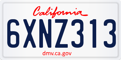 CA license plate 6XNZ313