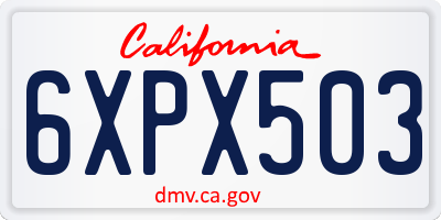 CA license plate 6XPX503