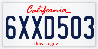 CA license plate 6XXD503