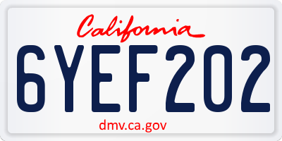 CA license plate 6YEF202