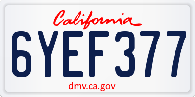 CA license plate 6YEF377