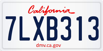 CA license plate 7LXB313